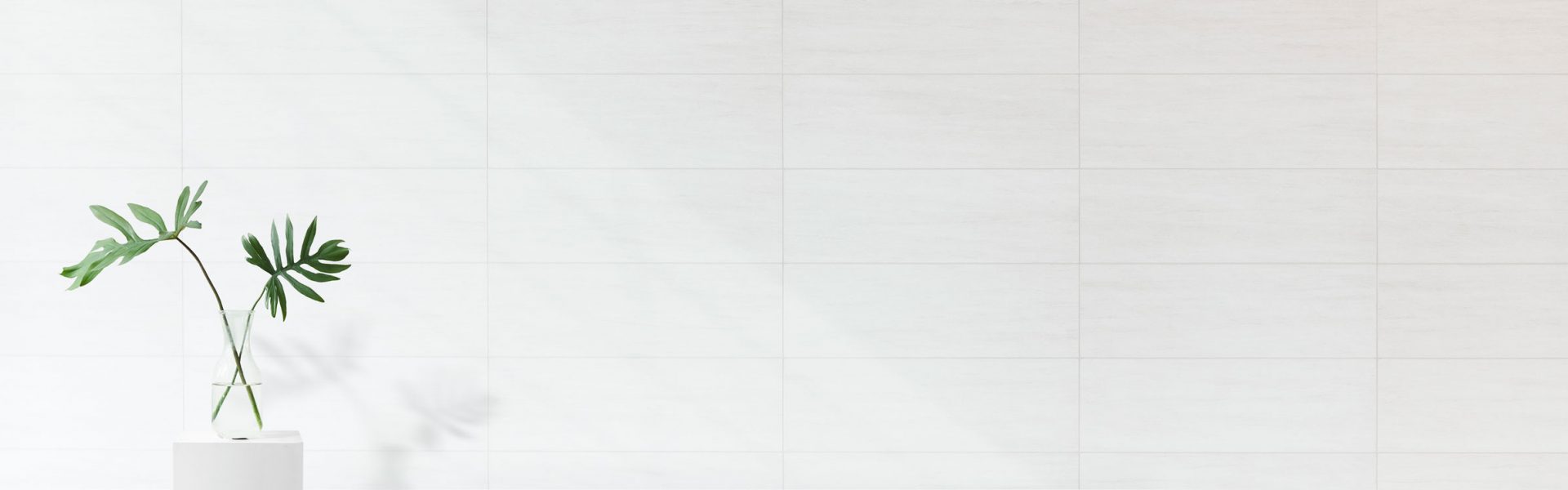 image-from-rawpixel-id-580473-jpegV2